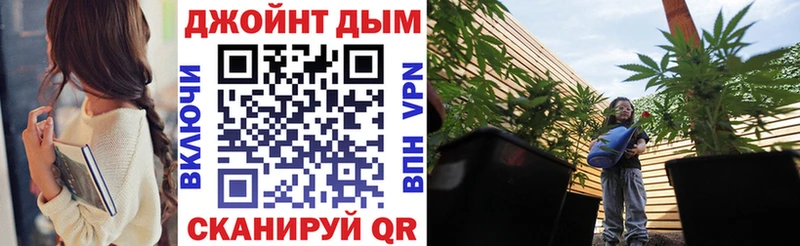 mega   Кирс  Бошки Шишки ГИДРОПОН 
